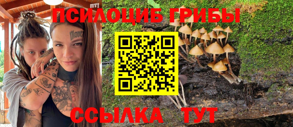 Псилоцибиновые грибы мицелий Вышний Волочёк