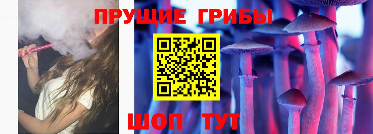 Вышний Волочёк  Псилоцибиновые грибы Cubensis  Вход с VPN 